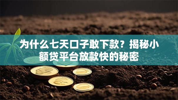 为什么七天口子敢下款？揭秘小额贷平台放款快的秘密