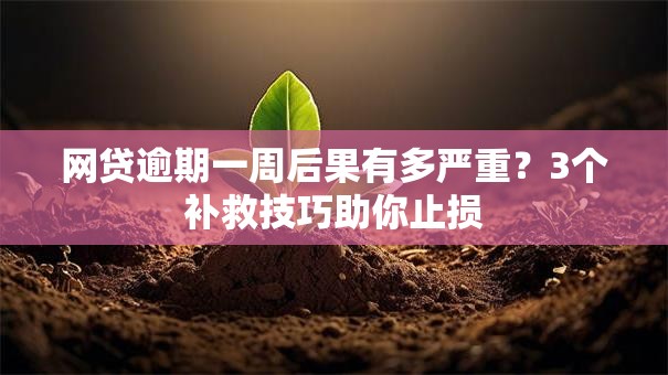 网贷逾期一周后果有多严重？3个补救技巧助你止损