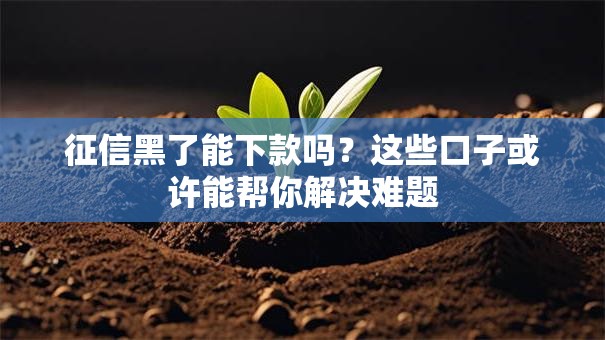 征信黑了能下款吗？这些口子或许能帮你解决难题
