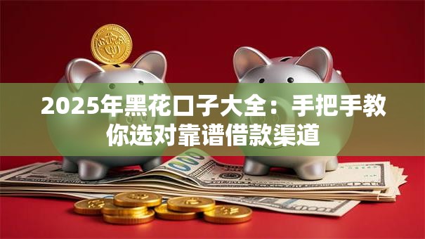 2025年黑花口子大全：手把手教你选对靠谱借款渠道