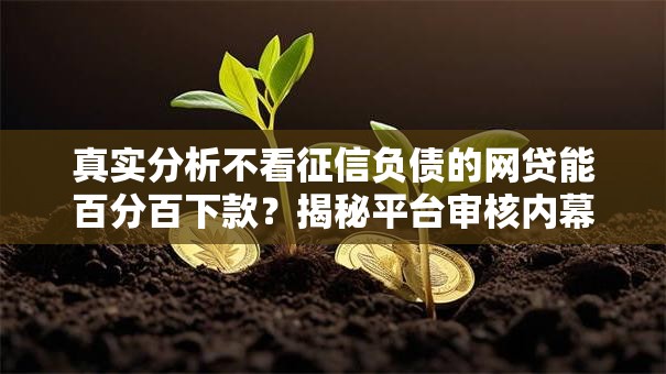 真实分析不看征信负债的网贷能百分百下款？揭秘平台审核内幕与避坑技巧