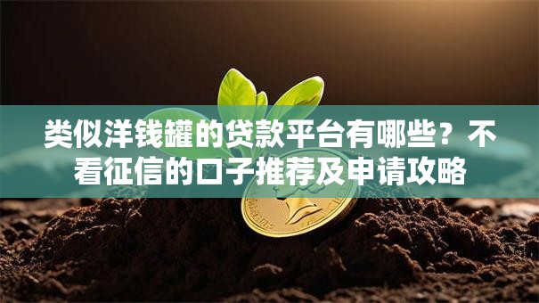 类似洋钱罐的贷款平台有哪些？不看征信的口子推荐及申请攻略