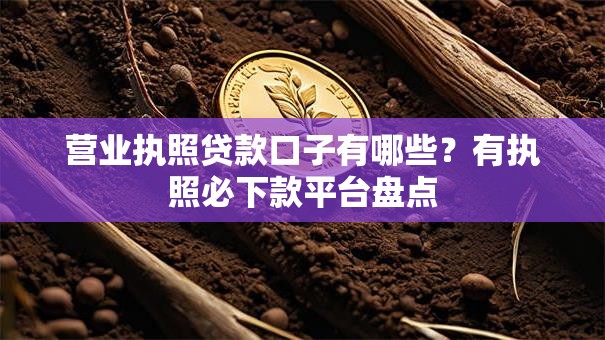 营业执照贷款口子有哪些？有执照必下款平台盘点