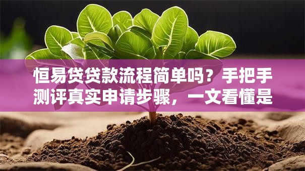 恒易贷贷款流程简单吗？手把手测评真实申请步骤，一文看懂是否靠谱