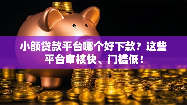 小额贷款平台哪个好下款？这些平台审核快、门槛低！