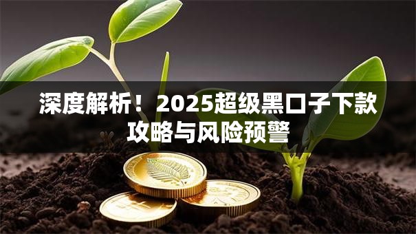 深度解析！2025超级黑口子下款攻略与风险预警