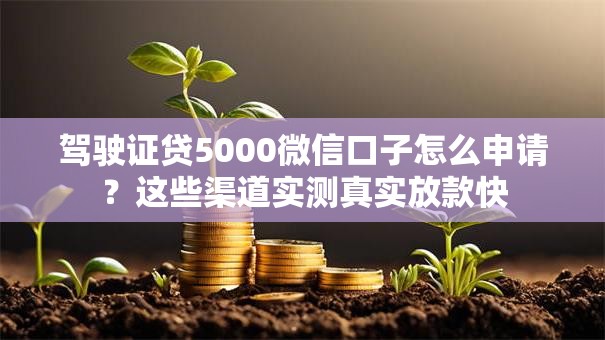 驾驶证贷5000微信口子怎么申请？这些渠道实测真实放款快