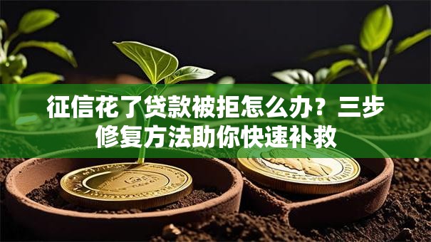 征信花了贷款被拒怎么办？三步修复方法助你快速补救