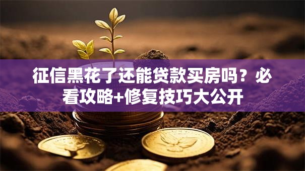 征信黑花了还能贷款买房吗？必看攻略+修复技巧大公开
