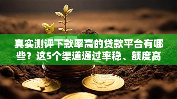 真实测评下款率高的贷款平台有哪些？这5个渠道通过率稳、额度高！