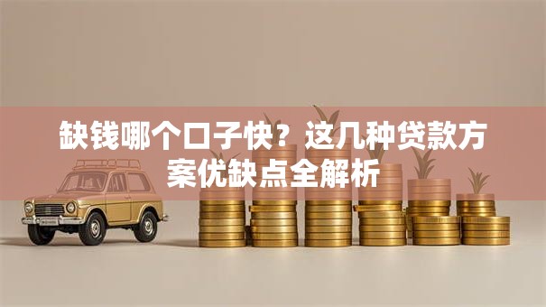 缺钱哪个口子快？这几种贷款方案优缺点全解析