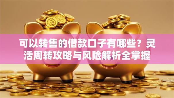 可以转售的借款口子有哪些？灵活周转攻略与风险解析全掌握