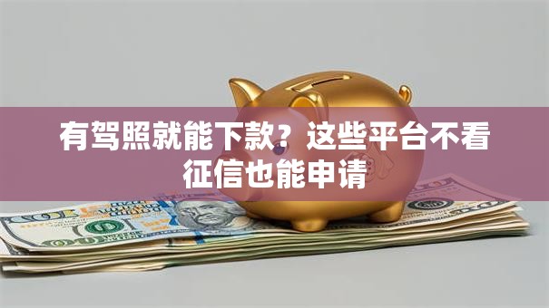 有驾照就能下款？这些平台不看征信也能申请