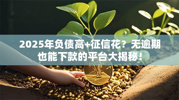 2025年负债高+征信花？无逾期也能下款的平台大揭秘！