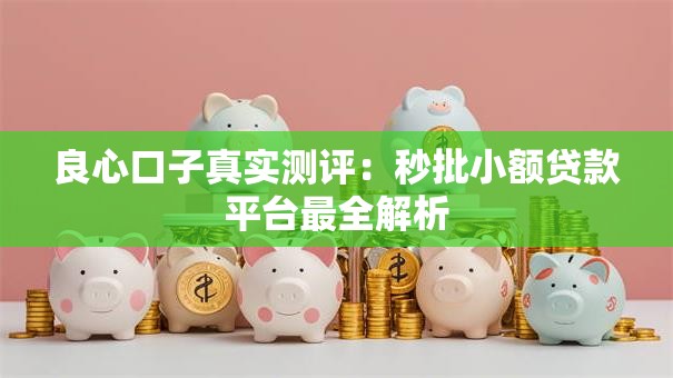 良心口子真实测评：秒批小额贷款平台最全解析