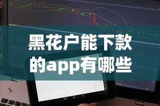 黑花户能下款的app有哪些？实测征信差也能通过的借贷平台