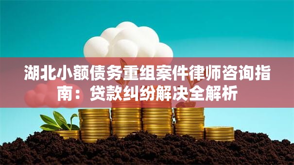 湖北小额债务重组案件律师咨询指南：贷款纠纷解决全解析
