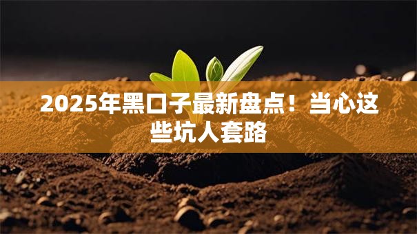 2025年黑口子最新盘点！当心这些坑人套路