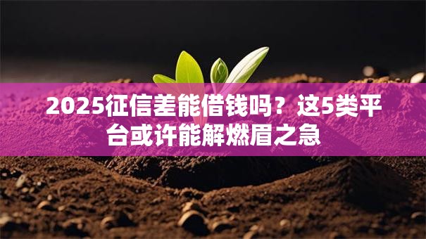 2025征信差能借钱吗？这5类平台或许能解燃眉之急