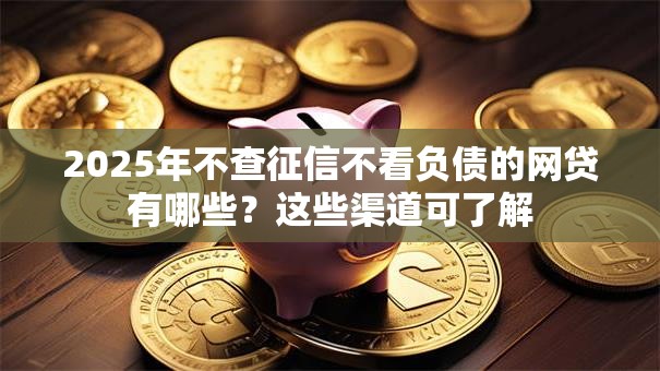 2025年不查征信不看负债的网贷有哪些？这些渠道可了解