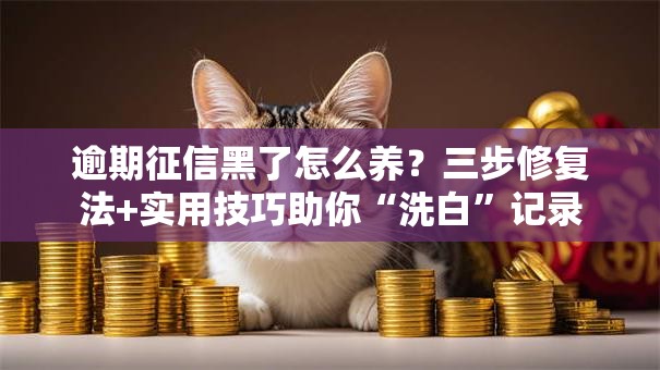 逾期征信黑了怎么养？三步修复法+实用技巧助你“洗白”记录