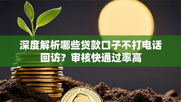 深度解析哪些贷款口子不打电话回访？审核快通过率高