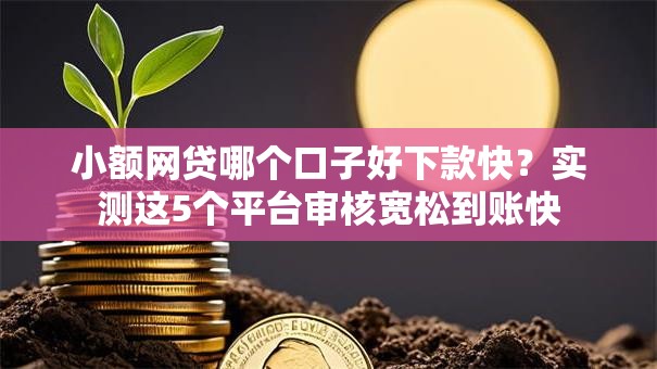 小额网贷哪个口子好下款快？实测这5个平台审核宽松到账快