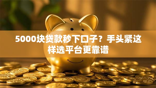 5000块贷款秒下口子？手头紧这样选平台更靠谱