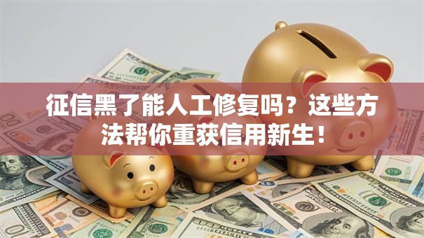 征信黑了能人工修复吗?这些方法帮你重获信用新生! 征信黑了能人工修复吗?这些方法帮你重获信用新生!