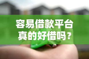 容易借款平台真的好借吗？实测分析助你避坑