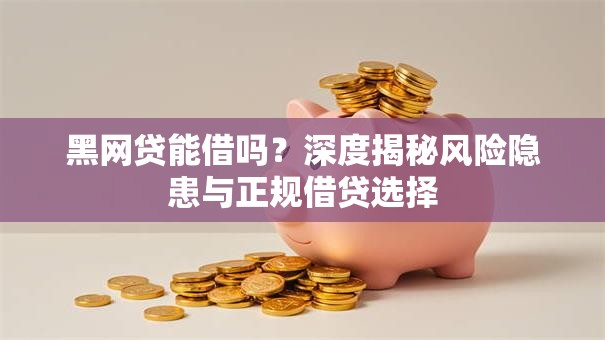黑网贷能借吗？深度揭秘风险隐患与正规借贷选择