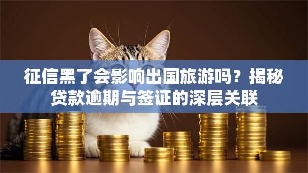 征信黑了会影响出国旅游吗？揭秘贷款逾期与签证的深层关联