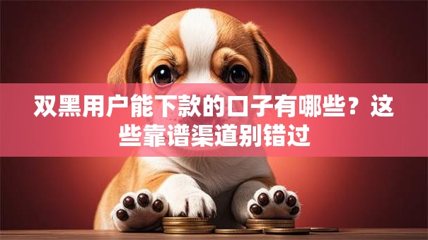 双黑用户能下款的口子有哪些？这些靠谱渠道别错过