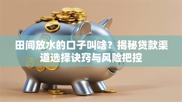 田间放水的口子叫啥？揭秘贷款渠道选择诀窍与风险把控