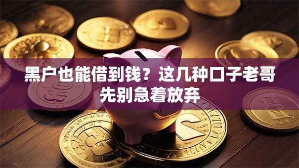 黑户也能借到钱？这几种口子老哥先别急着放弃
