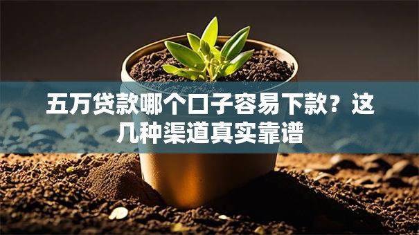 五万贷款哪个口子容易下款？这几种渠道真实靠谱