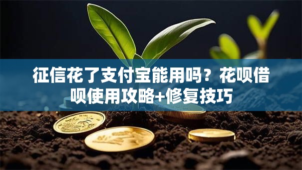 征信花了支付宝能用吗？花呗借呗使用攻略+修复技巧