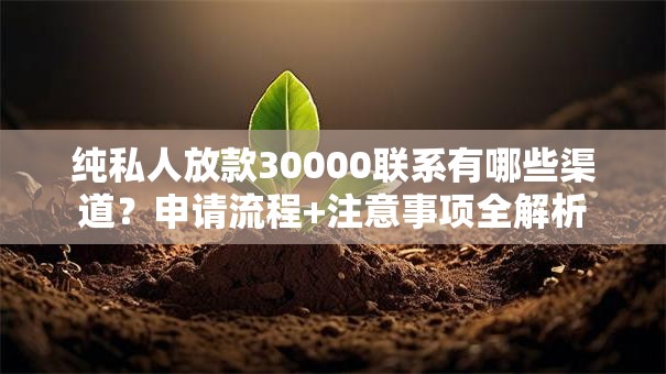纯私人放款30000联系有哪些渠道？申请流程+注意事项全解析