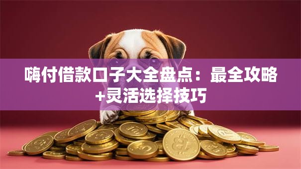 嗨付借款口子大全盘点：最全攻略+灵活选择技巧
