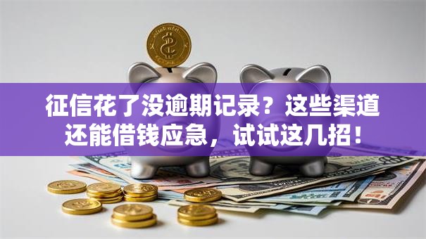 征信花了没逾期记录？这些渠道还能借钱应急，试试这几招！