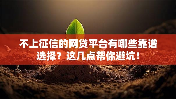不上征信的网贷平台有哪些靠谱选择？这几点帮你避坑！