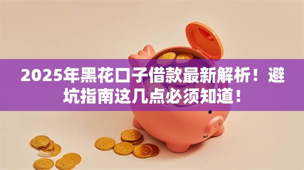 2025年黑花口子借款最新解析！避坑指南这几点必须知道！