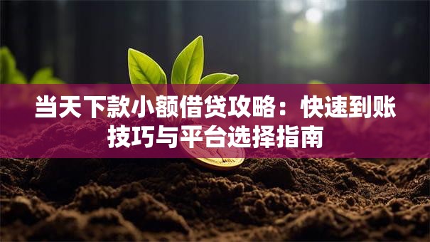 当天下款小额借贷攻略：快速到账技巧与平台选择指南
