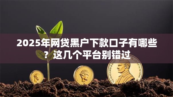 2025年网贷黑户下款口子有哪些？这几个平台别错过