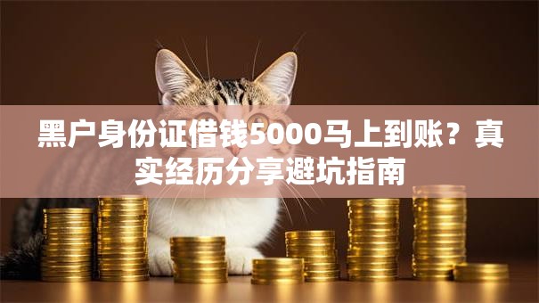 黑户身份证借钱5000马上到账？真实经历分享避坑指南