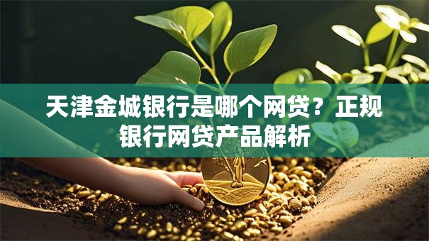 天津金城银行是哪个网贷？正规银行网贷产品解析