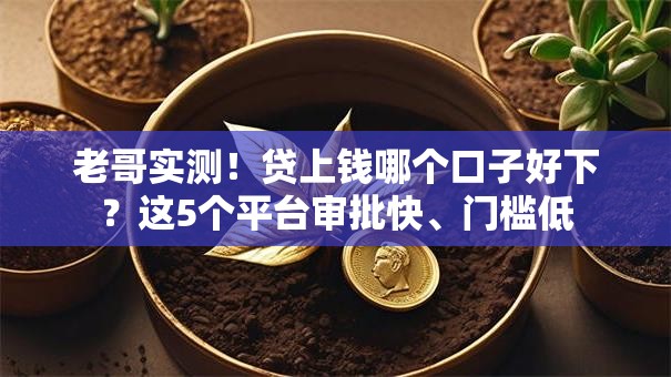 老哥实测！贷上钱哪个口子好下？这5个平台审批快、门槛低