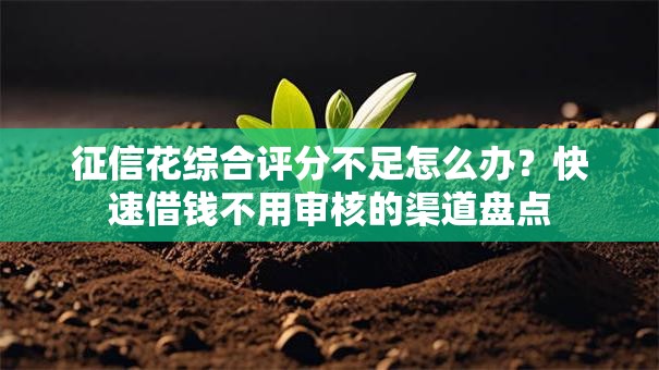 征信花综合评分不足怎么办？快速借钱不用审核的渠道盘点