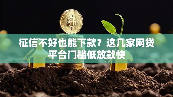 征信不好也能下款？这几家网贷平台门槛低放款快