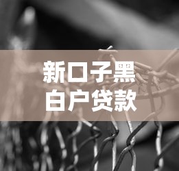 新口子黑白户贷款渠道解析，如何找到靠谱资金方案？